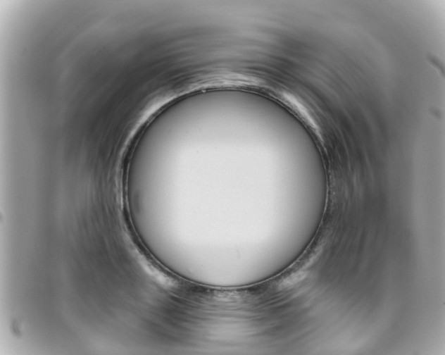X0000096450843200801241138
