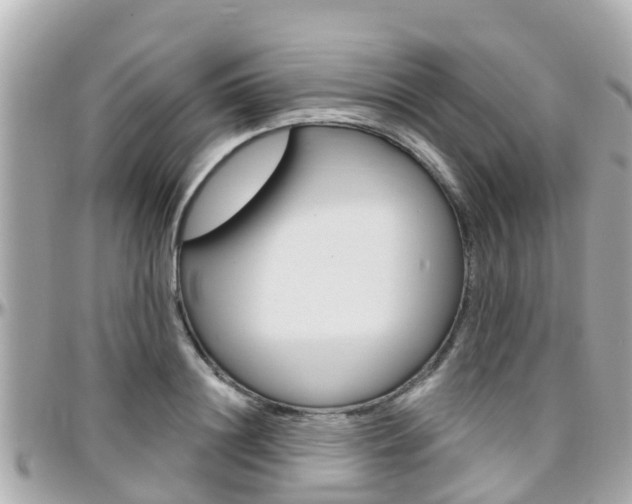 X0000096450844200801241138