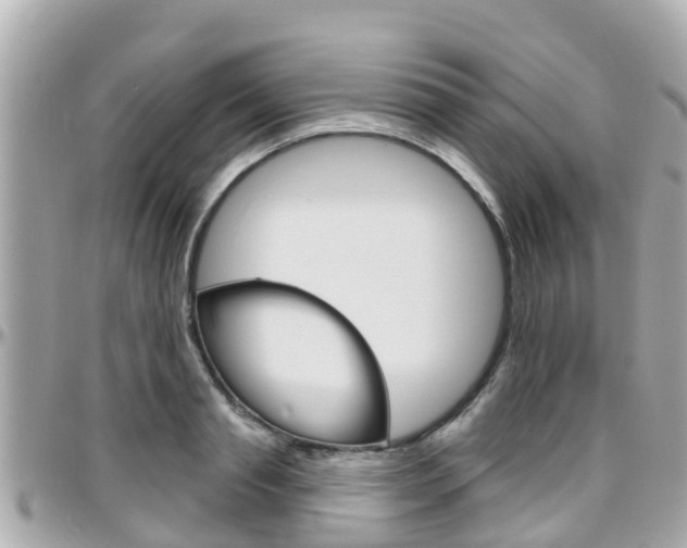 X0000096450845200801241138