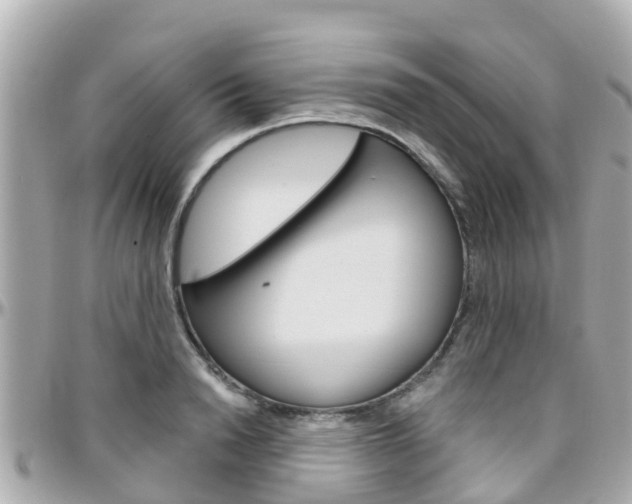 X0000096450846200801241138