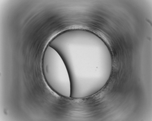 X0000096450847200801241138