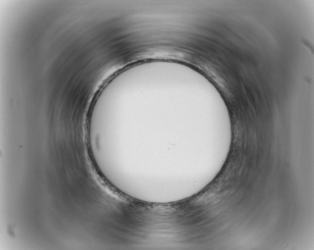X0000096450848200801241138