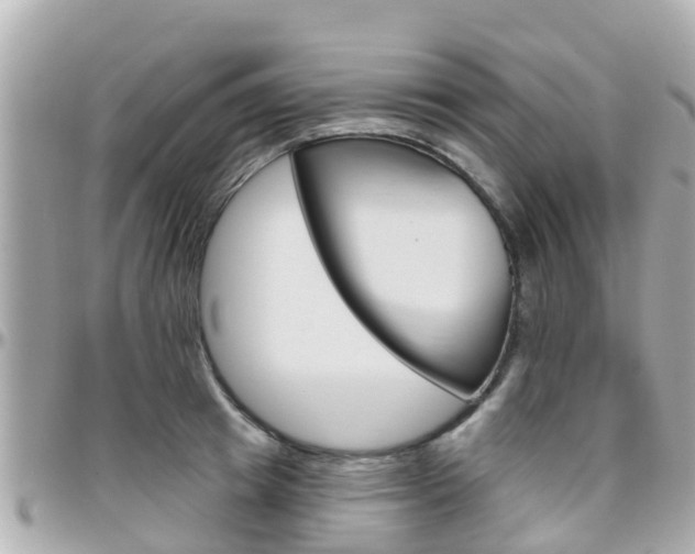X0000096450849200801241138