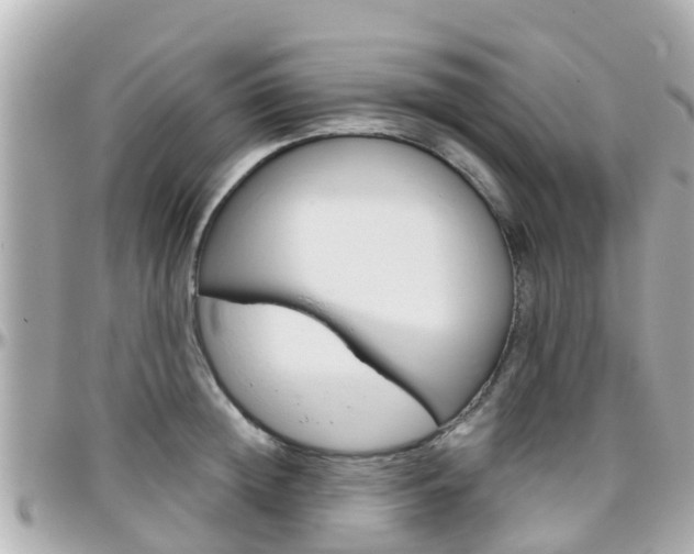 X0000096450852200801241138