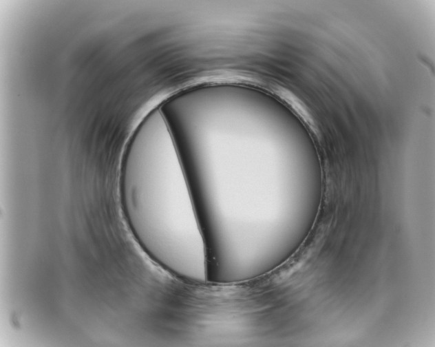 X0000096450853200801241138