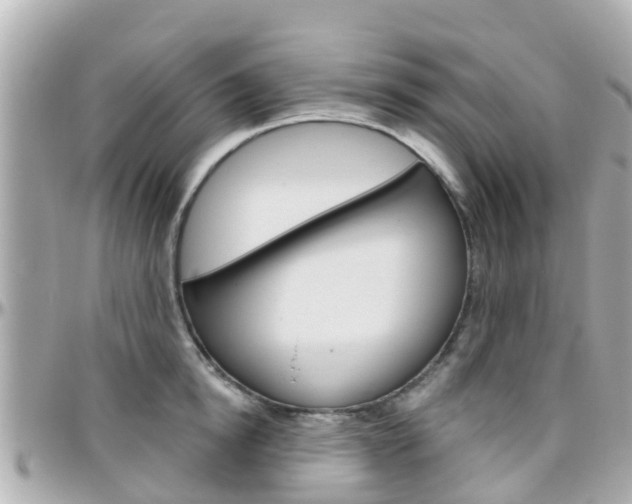 X0000096450854200801241138