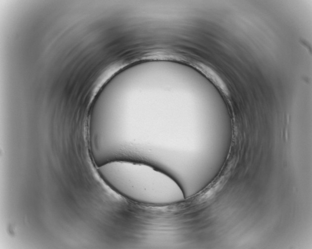X0000096450855200801241138