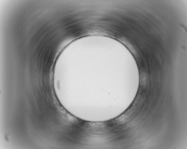 X0000096450856200801241139