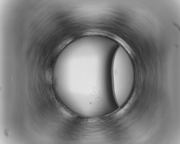 X0000096450857200801241139