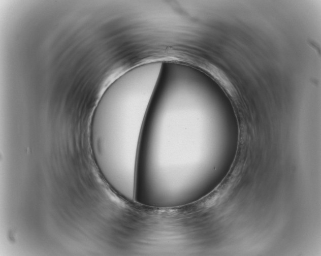 X0000096450858200801241139