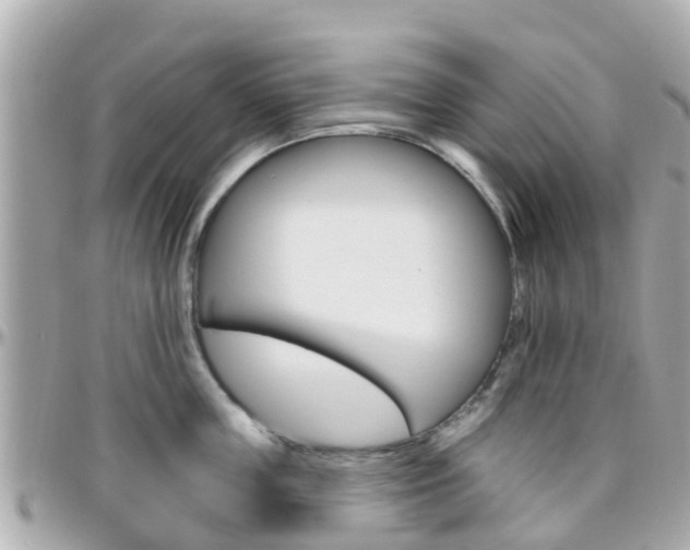 X0000096450859200801241139