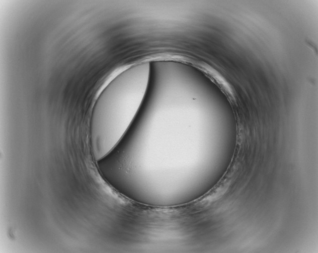X0000096450860200801241139