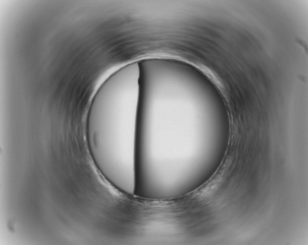X0000096450862200801241139