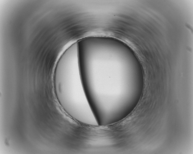 X0000096450864200801241139