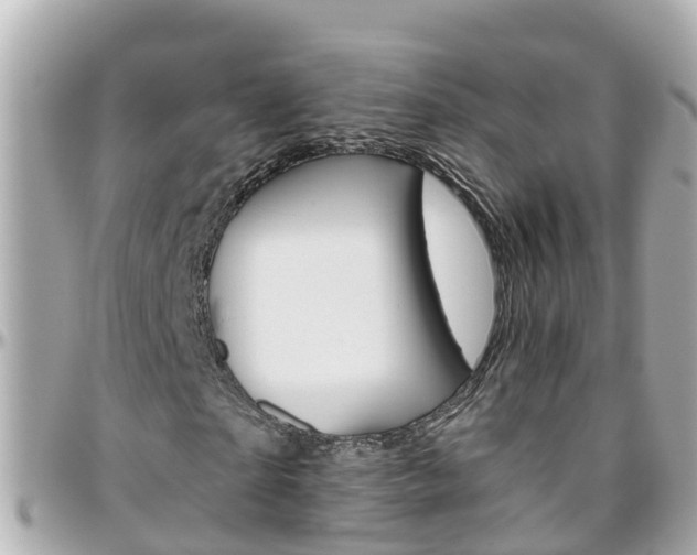 X0000096450865200801241138