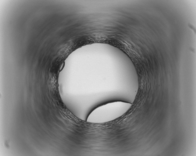 X0000096450866200801241138
