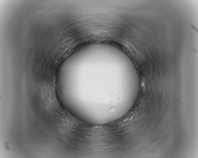X0000096450867200801241138