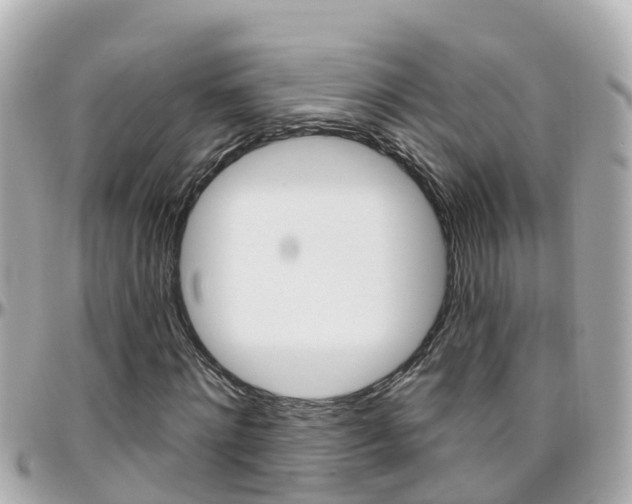 X0000096450868200801241138