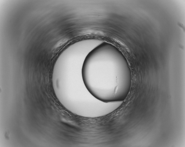 X0000096450869200801241138