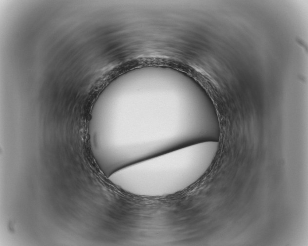 X0000096450870200801241138