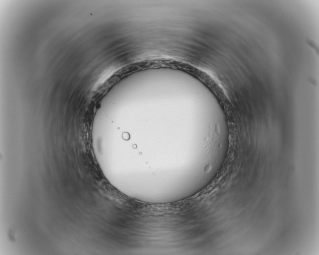 X0000096450871200801241138