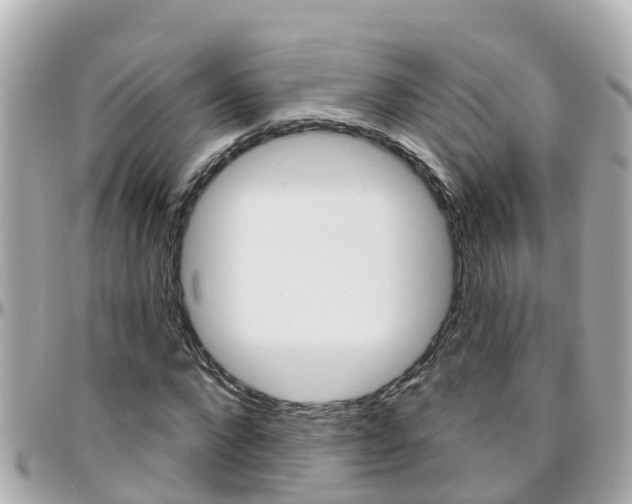 X0000096450872200801241138