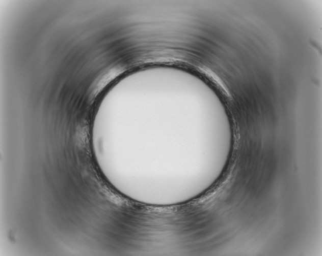 X0000096450874200801241138