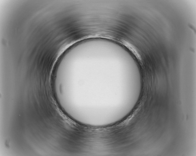 X0000096450876200801241138