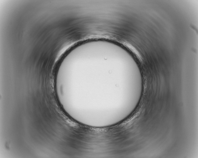 X0000096450878200801241138