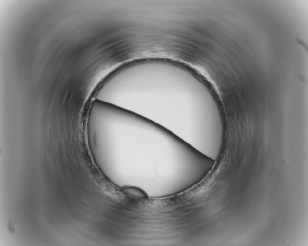 X0000096450879200801241138