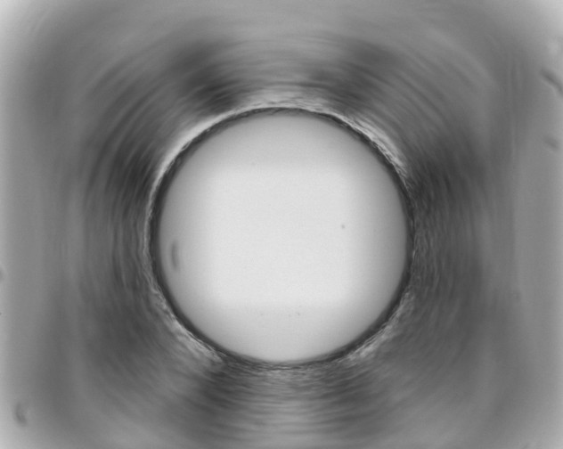 X0000096450880200801241138