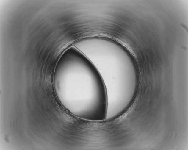 X0000096450881200801241138