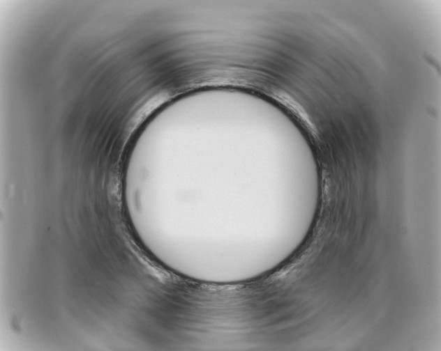 X0000096450882200801241138