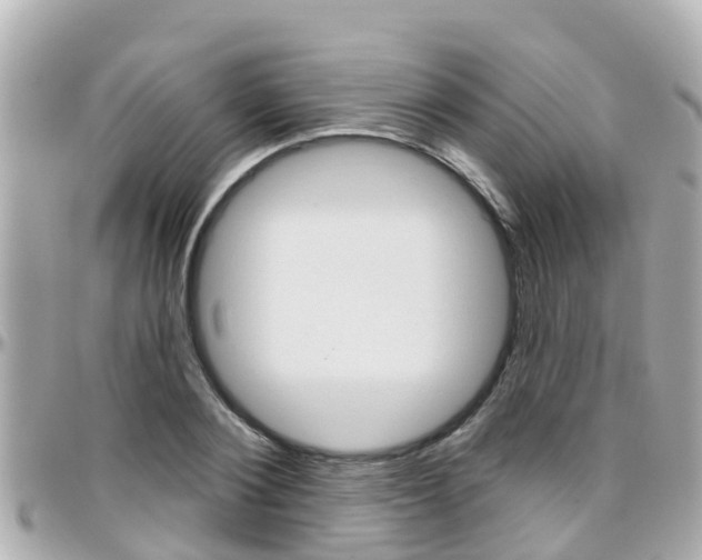 X0000096450884200801241138