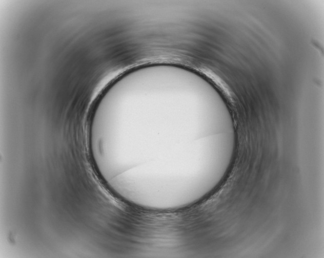 X0000096450886200801241138