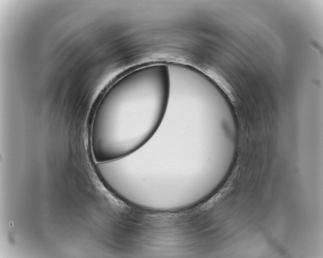 X0000096450888200801241137