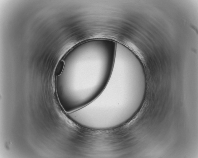 X0000096450892200801241137