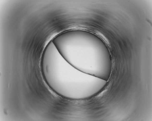 X0000096450893200801241137