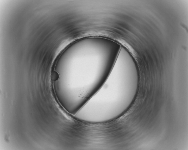 X0000096450894200801241137