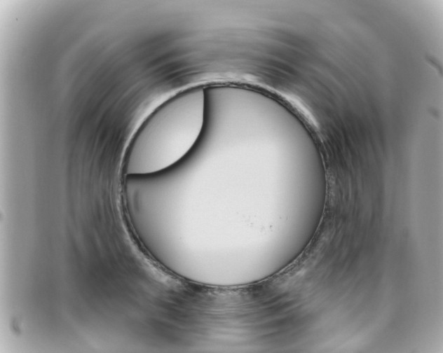X0000096450895200801241137