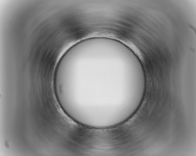 X0000096450896200801241137