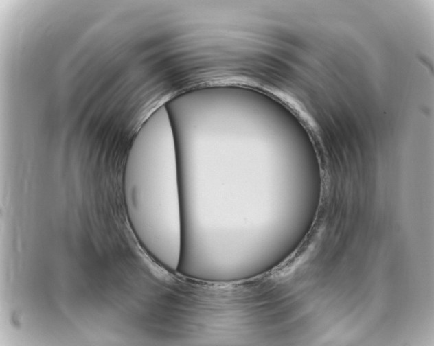 X0000096450897200801241137