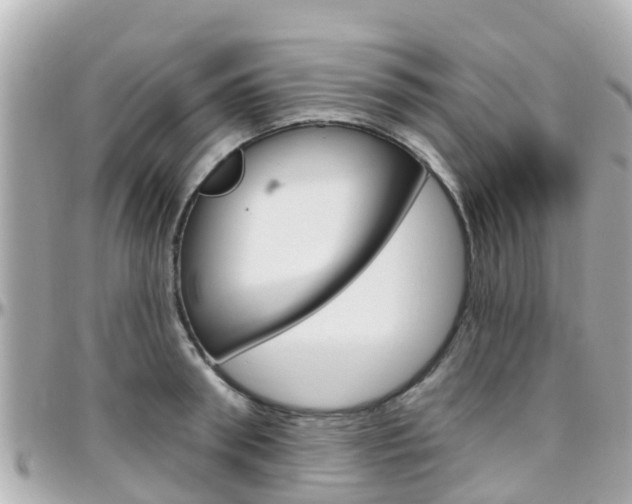 X0000096450898200801241137