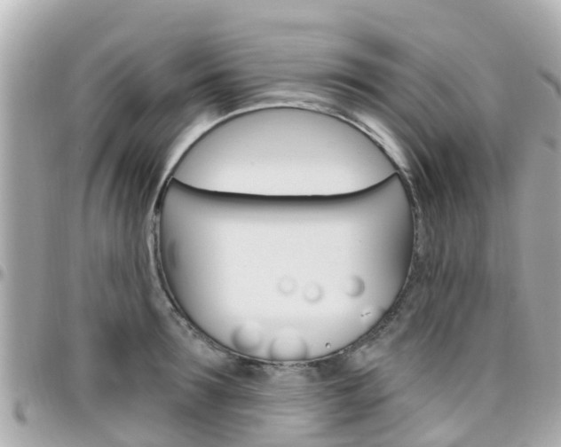 X0000096450899200801241137