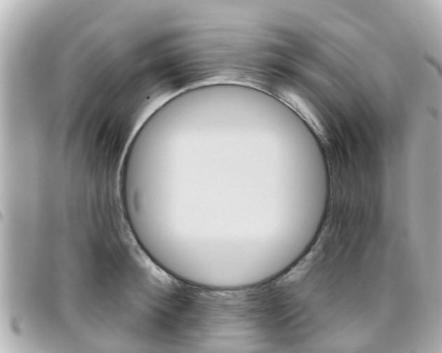 X0000096450900200801241137