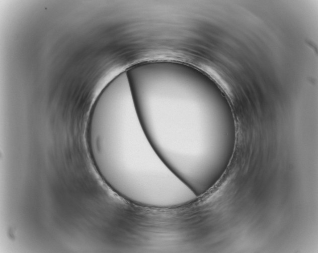 X0000096450901200801241137