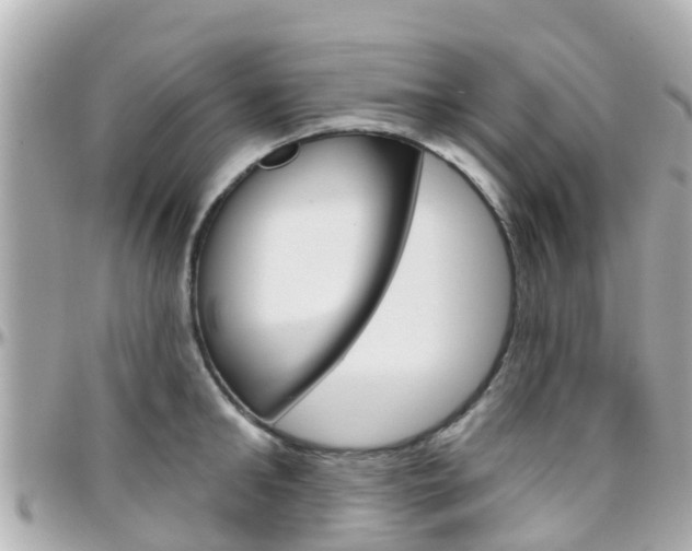 X0000096450902200801241137