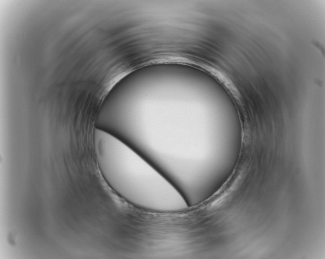 X0000096450905200801241137