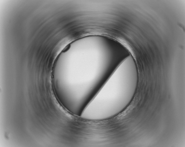 X0000096450906200801241137