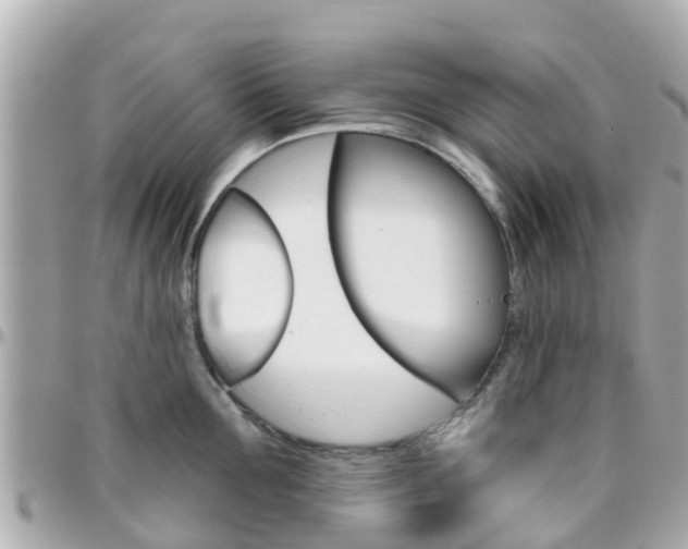 X0000096450907200801241137
